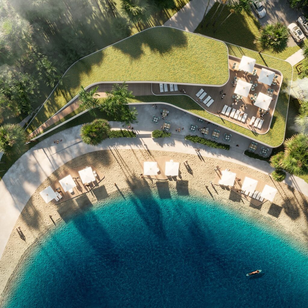 P12423_01-Aerea Large